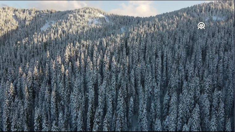 Ilgaz Dağı'nda kartpostallık görüntüler 10